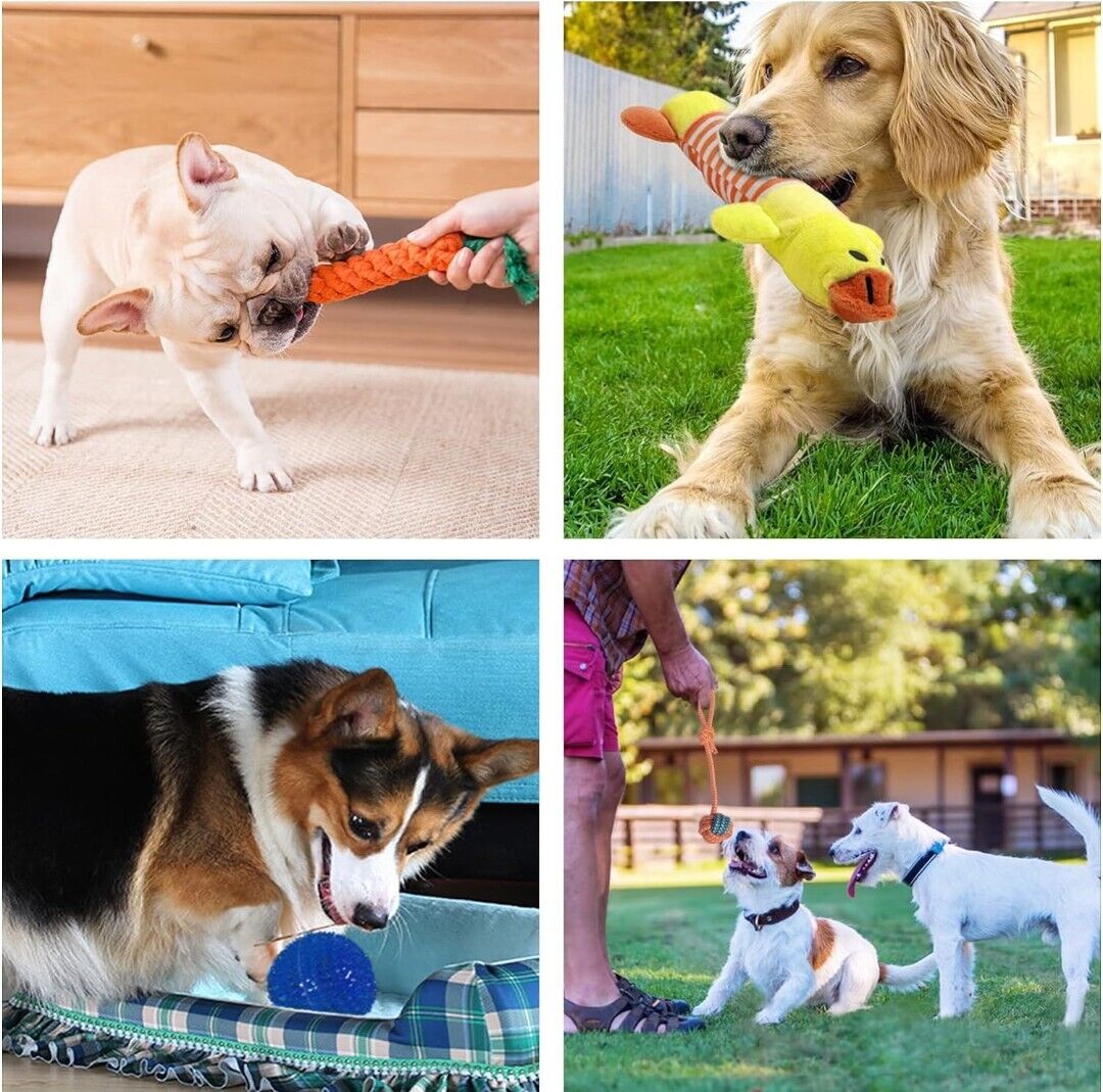 18Pcs Pet Toy Set – Rope, Chew, and Teething Toys for Dogs and Cats