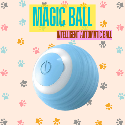 Magic Ball 