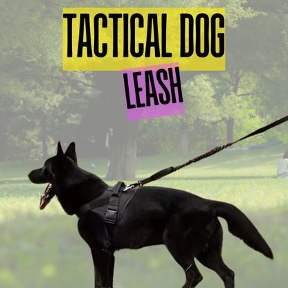 Tactical Dog Leash