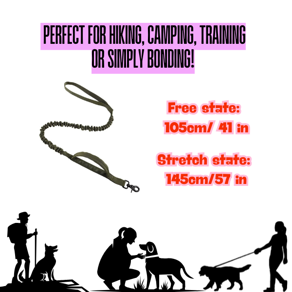Tactical Dog Leash